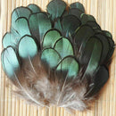50pcs Lady Amherst natural green pheasant feathers for-craft/millinery/jewe W5A1