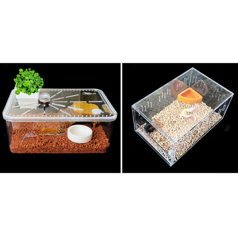 4 Pack Pet Reptile Lizard Gecko Spiders Dish Feeder, Anti Escape Food Bowl