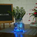 2m Cork Shaped Wine Bottle Light DIY LED Fairy String Lamp (Warm White) A
