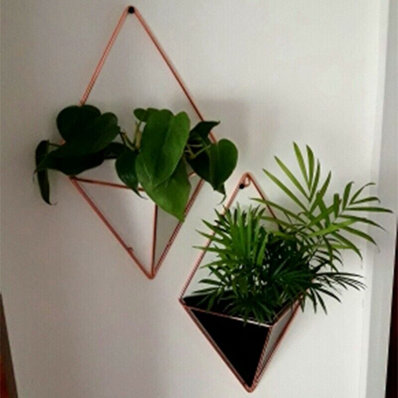 Wall Hanging Container Storage Rack Household Innovative Indoor Living Room