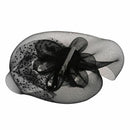 wedding 25CM black fascinator hair barrette K5L3