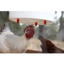 40 Pieces Automatic Poultry Nipples - Drinker Waterer for Chicken ducks Quail or