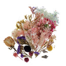 Dried Flowers Natural Flowers for Candle Making Soap Making DIY Bath Making Kit