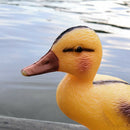 Small Duckings Floating Decoy Ducks Mallard Garden Pond Pool Yard Decor Arts