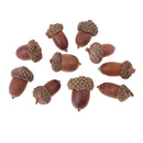 10 pieces of beautiful acorns mini dried oak nuts fruits home wedding christmas