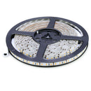 5m SMD 2835 600 LED 12V 72W 7500LM IP65 Dust Density Sealed Cool White LED