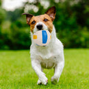 Pet Latex Squeak Sound Molar Ball Dog Interactive Chew Toys (Volleyball) A