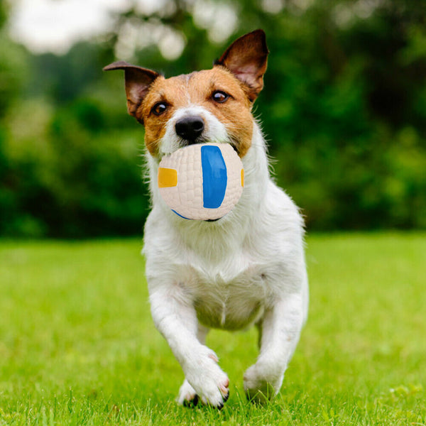 Pet Latex Squeak Sound Molar Ball Dog Interactive Chew Toys (Volleyball) A#S