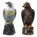Lifelike Eagle Decoys Hawk Scarecrow with Bright Eyes - Home Garden Decoration
