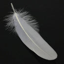 50pcs White Beautiful Large Goose Feathers 6-8 inches /15cm to 20cm High Quality
