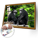 75 X 50cm 1000 Pieces Paper Jigsaw Puzzles Gorilla Assembling Picture Kit