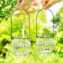 Hanging Flower Plant Vase Pumpkin Candle Holder Terrarium Home Wedding Decor