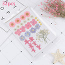 Real Dried Flower Material Dyeing Flower For Craft Phone Case DIY Accessori%!