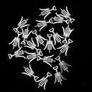 20 Pieces Wine Bottle Opener Design Pendant Cork Screw for Keychain Necklace DIY