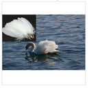 100PCS Goose Feathers Party Cake Decor DIY Craft Dream Catcher 6-8Inch