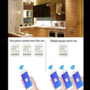 Smart WiFi DIY Mono Channel Dimmer Switch for Smart Home Voice Control