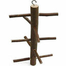 Parrot Bird Perch Stand Play Fun Toys Gym Wooden Activity Plays Cage Branch