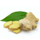 100 pcs ginger seeds 4 seasons zenzero jengibre zingiber seeds roscoe gengib ly