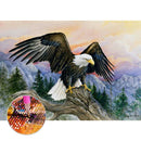 5D DIY Full Drill Diamond Painting Eagle Cross Stitch Embroidery (C1206)