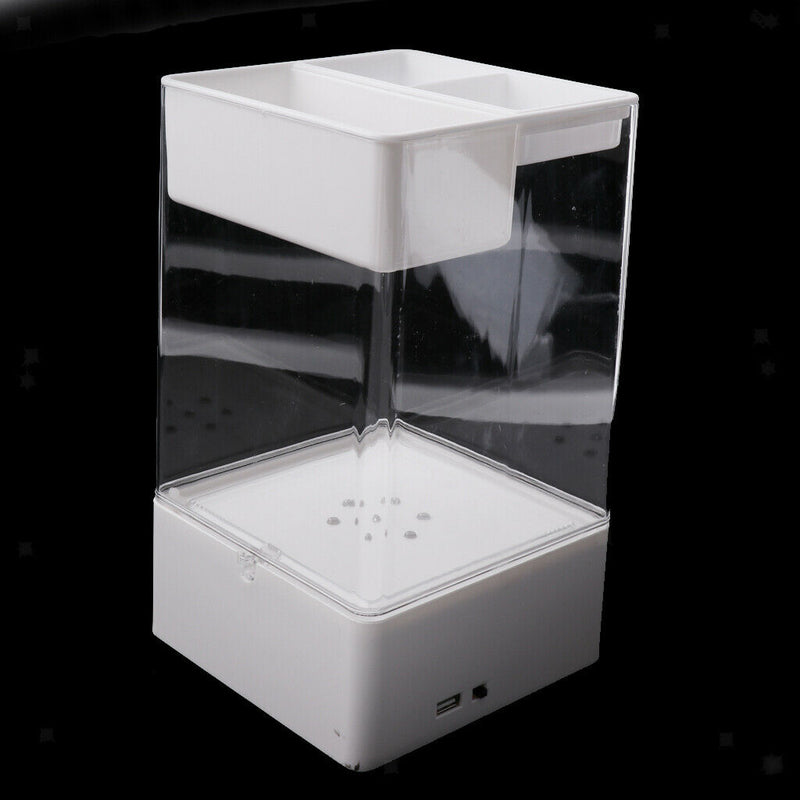 Acrylic Fish Bowl Plant Aquarium Fish Tank Home Office Ornament White