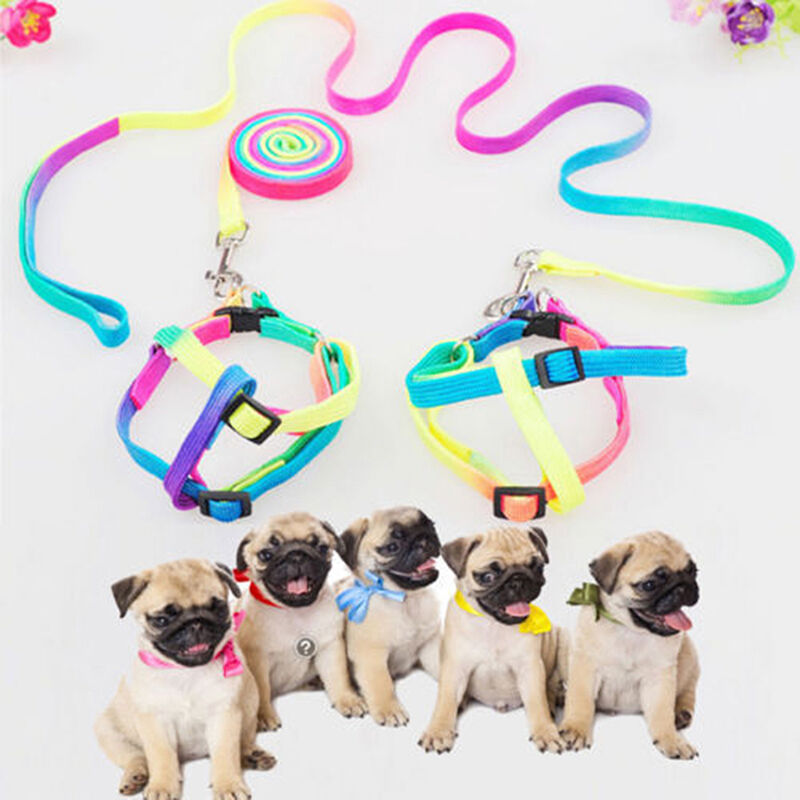 Pet Puppy Matching Nylon Harness Collar & Lead Set Leash Adjustable Rainbow