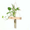 Wall Hanging Clear Glass Vase Flower Planter Bottle Tube Pot Terrarium Decor