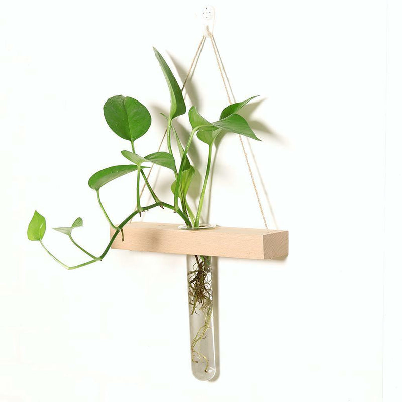 Wall Hanging Clear Glass Vase Flower Planter Bottle Tube Pot Terrarium Decor