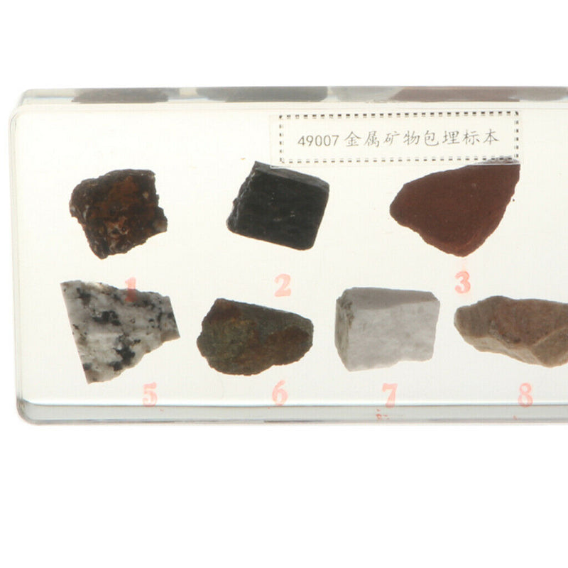 Real Rock And Mineral Geology Science Specimen Paperweight Collectible Gift