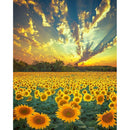 Full Round Drill Diamond Painting Sunflower 5D DIY Handmade Mosaic Pictures