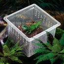 10x Feeding Container for Reptiles Insects Spider Tarantula Tanks Box H1