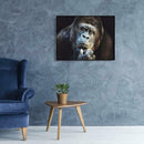 Animal Portraits 5D Full Drill DIY Diamond Painting Embroidery Kit (T177)