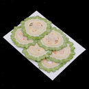6x Dried Vegetable Bitter Gourd Slices Specimen for DIY Mobile Phone Case