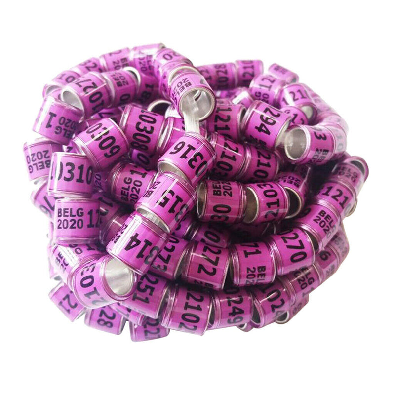 Set of 100 Racing Pigeon Leg Ring 8mm Leg Band Multi-color Purple Belgium