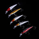 5Pcs Large Minnow Saltwater Fishing Lure Crankbait Hooks Bass Soft Bait Kit