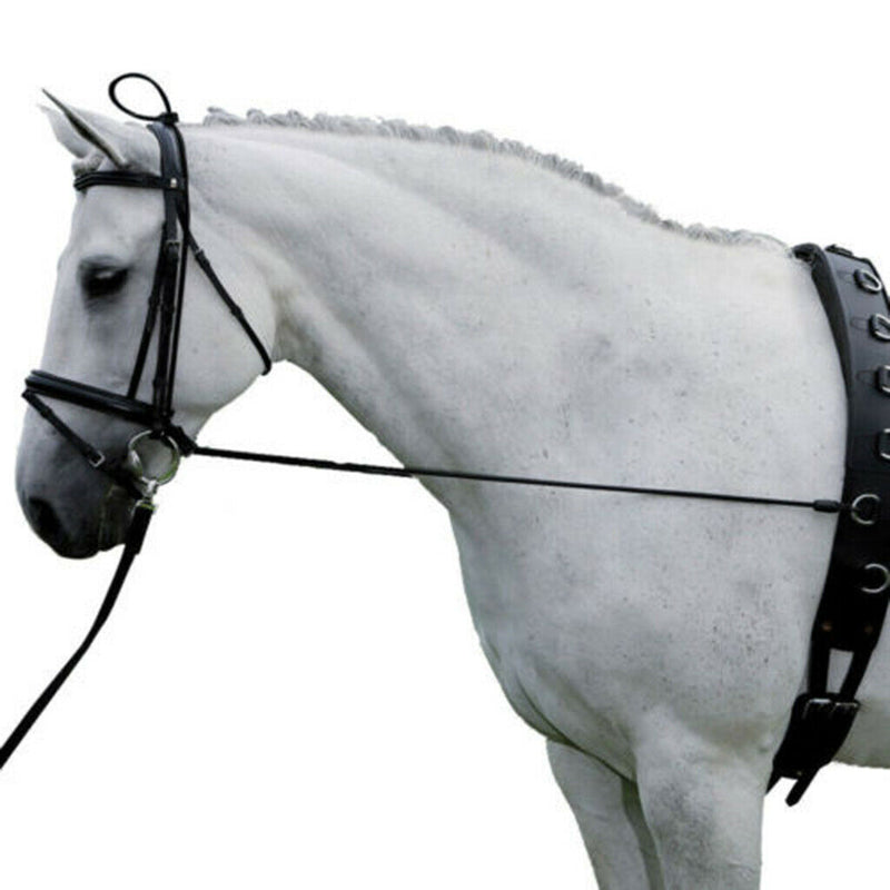 Horse Reins, Neck Stretcher, with Adjustable Buckles and Snap Ends for Horse