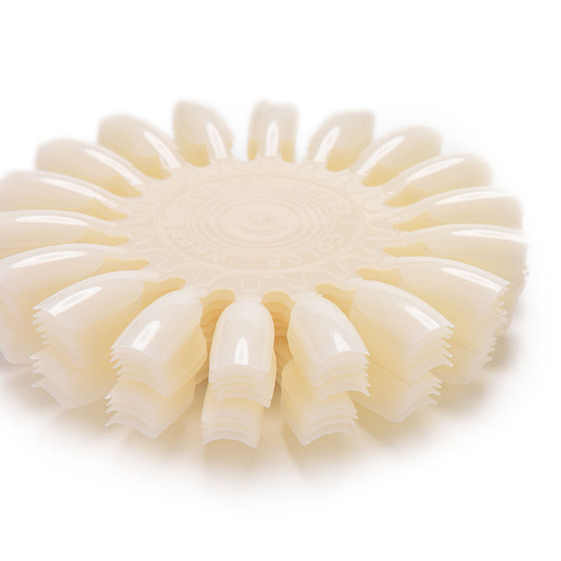 10x Nail Art Tips Make Up Practice Round Wheel Polish Acrylic Display Hn