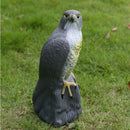 Realistic Eagle Hawk Hunting Decoyl Bird Pigeon Scarer Outdoor Garden Decor