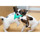 3Pieces Dog Chew Toys Teeth Cleaning Toothbrush Safe for Medium Large Dog