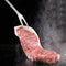 5pcs BBQ Barbecue Tool Set Stainless Steel Grill Grilling Accessory With Case