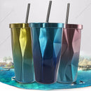 Stainless Steel Tumbler with Straw - Hot and Cold Double Wall Drinking Cups S2I2