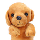 School pencil case Dog pencilcase Shop School bag Girl pencil case plumier  K1R6