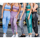 Professional Sports Quick-drying Yoga Suit Fitness Bra Set Women Workout Outfit