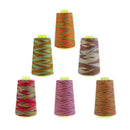 6pcs Rainbow Color Polyester Sewing Thread 40s/2 for Hand and Sewing Machine