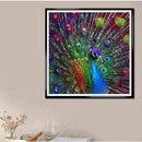 DIY Diamond Painting Cross Stitch Diamond Peacock Home Decor Full Rhineston
