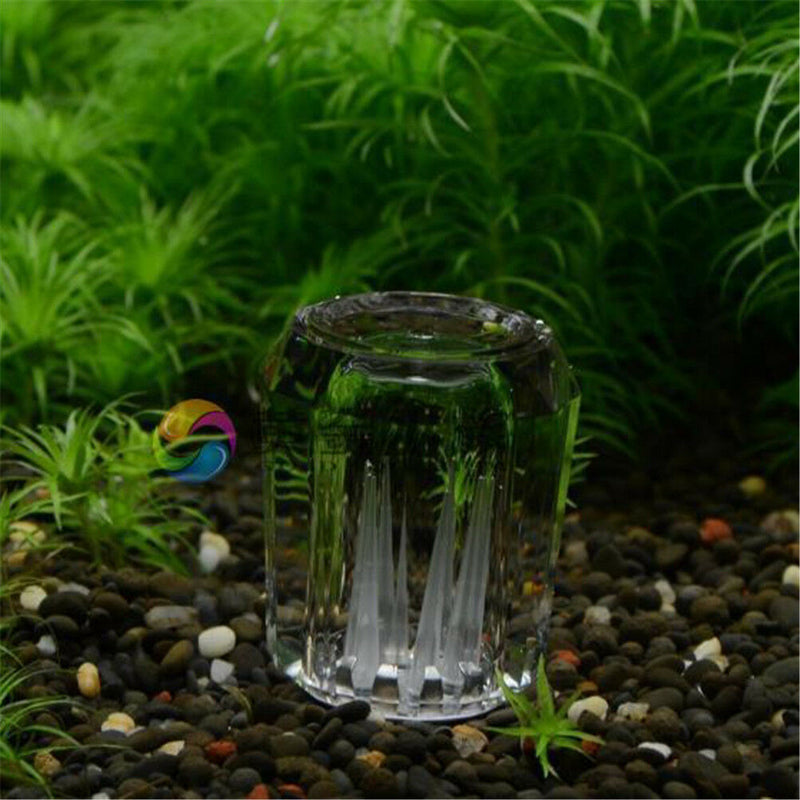 8Hole snail trap free bait for aquarium fish plants tank Planarian leech CatchME