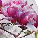 Set 3 Art Oil Painting Canvas Picture Peach Blossom Wall Home Decor 50x50cm
