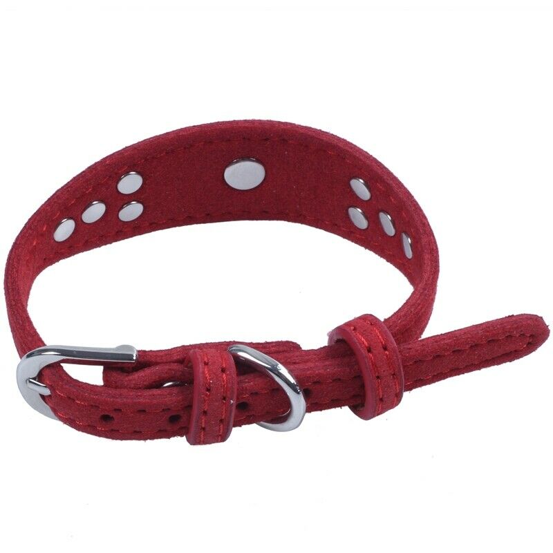 Cute Pet Cat Dog Collar With Bling Rhinestones For Small or Medium Dogs Cat