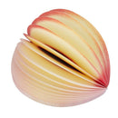 Fruit Writing Stationary Memo Notepad - Peach