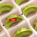 2pcs 21 Grid Fresh-keeping Plastic Storage Box Single Layer Dumpling Sushi Box