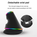 Delux M618 Plus Vertical Mouse Ergonomic Right Wired RGB 6 Button 1600 4000